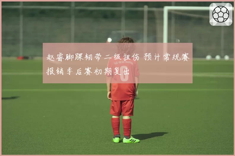 赵睿脚踝韧带二级扭伤 预计常规赛报销季后赛初期复出
