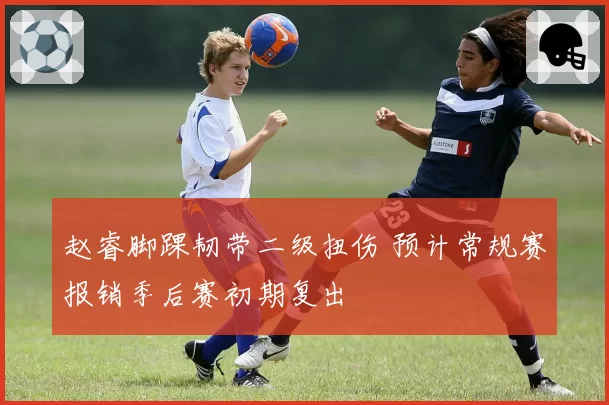赵睿脚踝韧带二级扭伤 预计常规赛报销季后赛初期复出